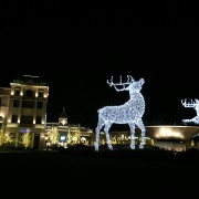 Large lit reindeer