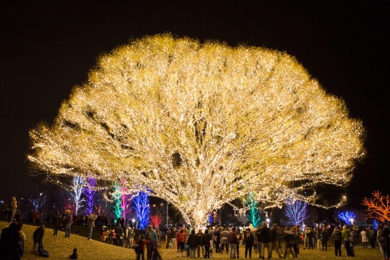 Lighting up the Draper Tree of Life A Brite Nites Holiday Tradition
