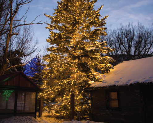 Christmas Lighting Services Pennsylvania