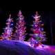 Multi Color Christmas Trees Lights