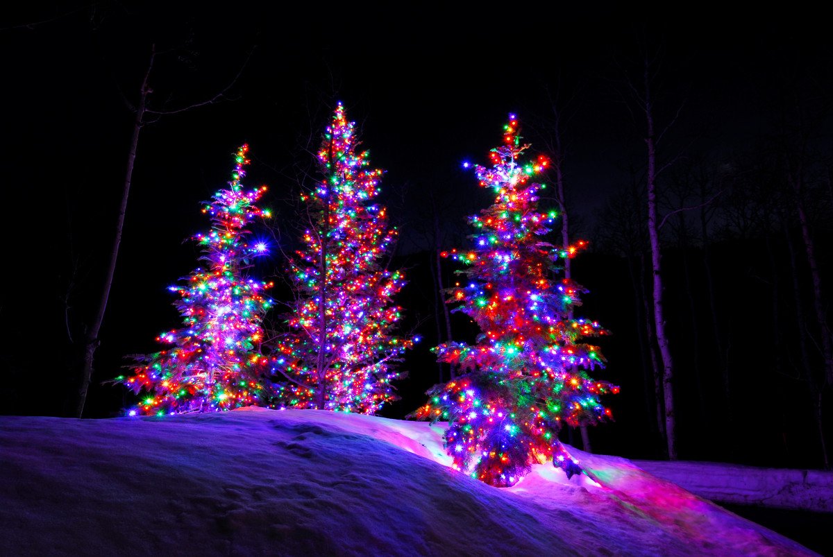 Multi Color Christmas Trees Lights