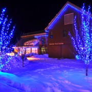 Christmas Lights | Northern Utah | Professional