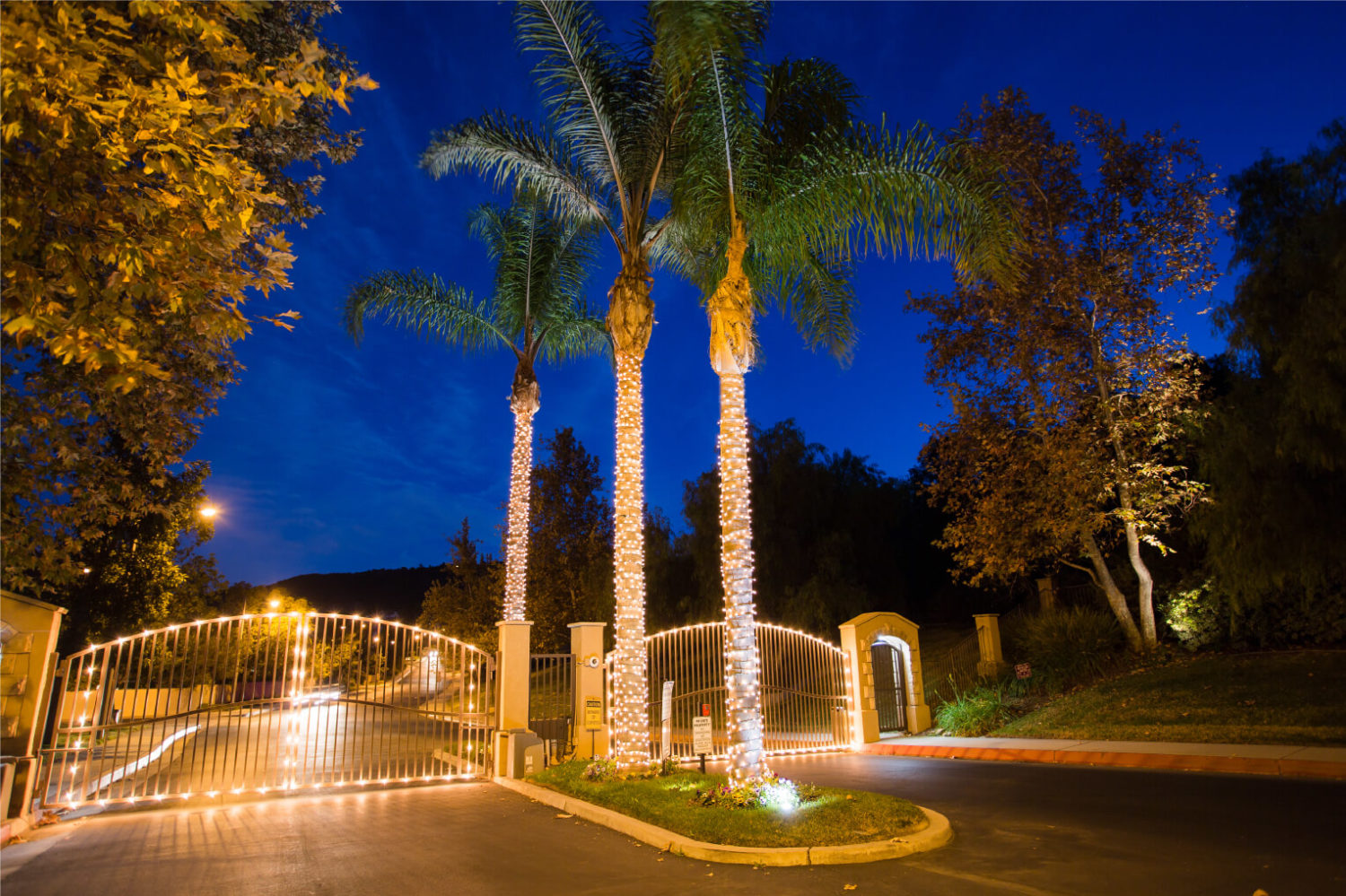 Residential Holiday Lighting Service Florida