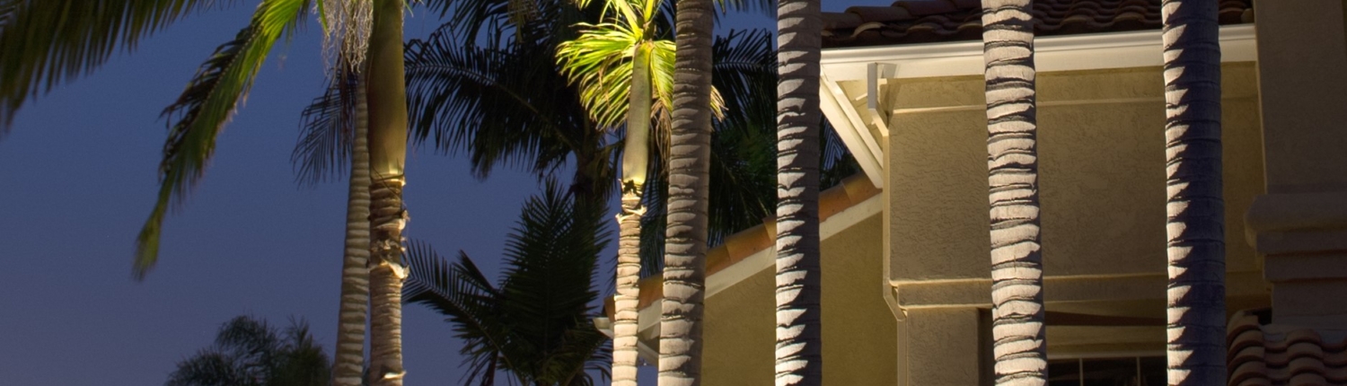 Palms Miami
